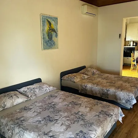 Branko Vojnovic Casa de hóspedes 3*