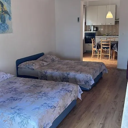 Branko Vojnovic Guest house